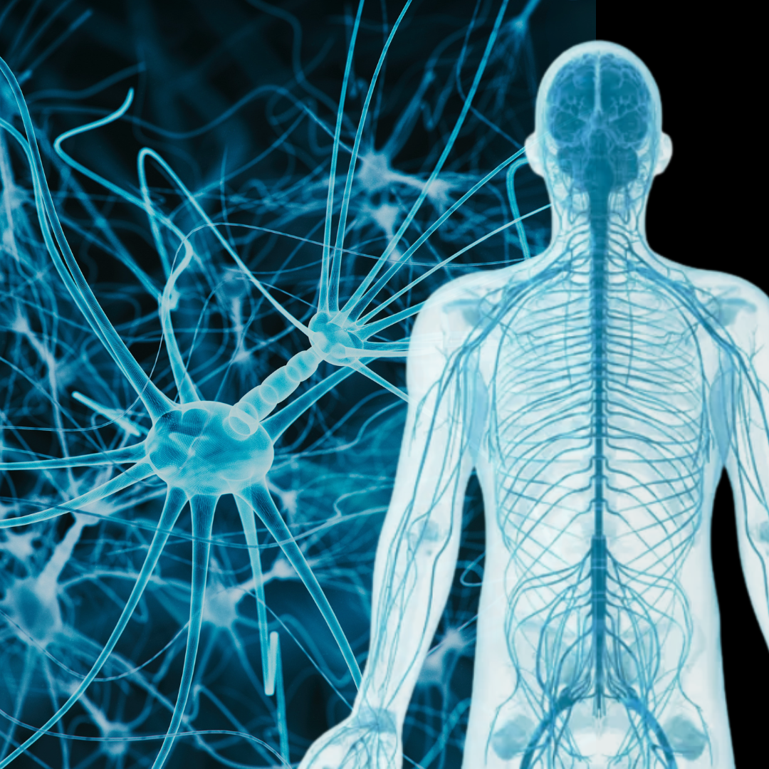 The Power of Calm: Reducing the Sympathetic Nervous System for Healing