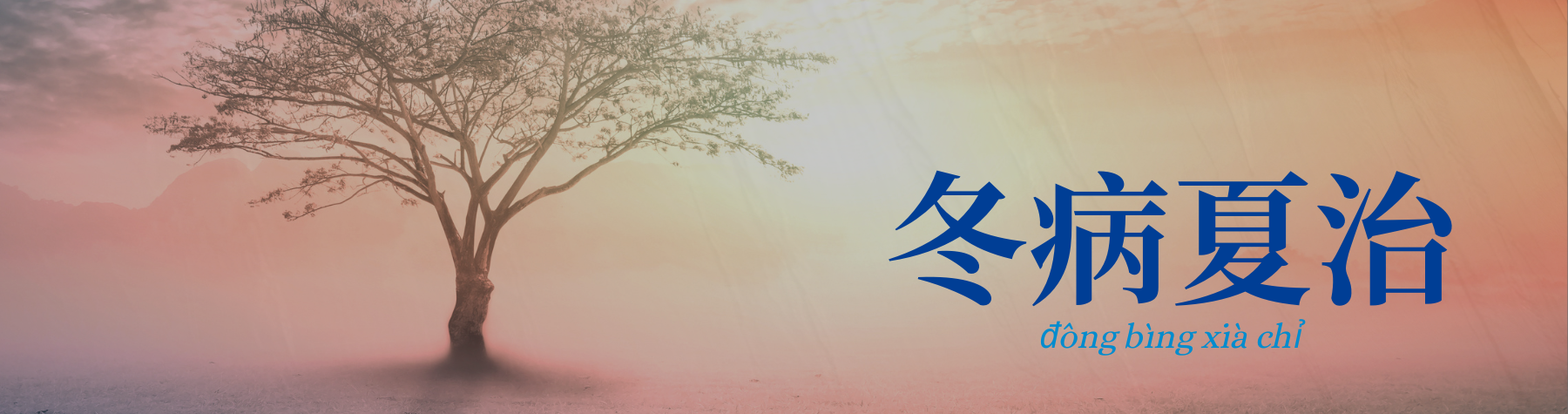 San Fu Tie: Why Chinese Medicine Uses the Hottest Days of Summer to Treat Winter Illness